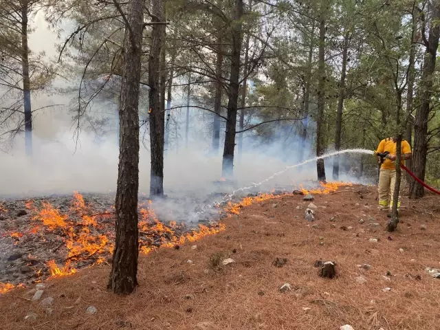 Muğla'da Yıldırım Düşmesi Sonucu 20 Ayrı Noktada Çıkan Orman Yangın Çıktı 1 Muğla'da 20 noktada çıkan orman yangınları kontrol altına alındı