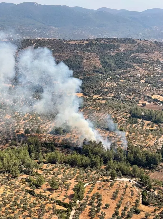 Muğla'da 15 yıldırım yangını söndürüldü