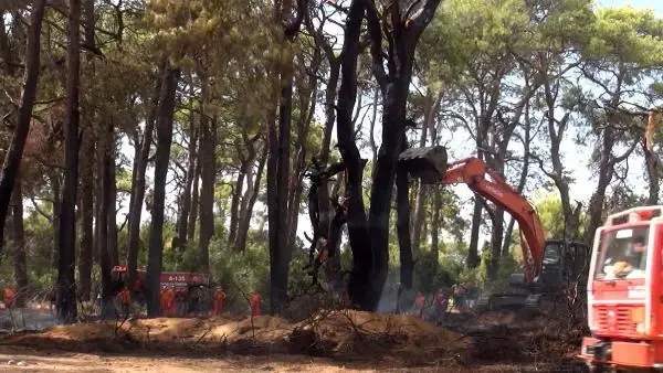Manavgat'ta çıkan orman yangını havadan ve karadan müdahaleyle kontrol altına alındı