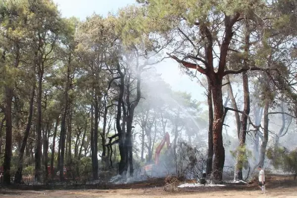 Manavgat'ta çıkan orman yangını havadan ve karadan müdahaleyle kontrol altına alındı