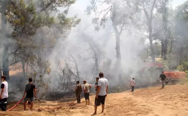 Manavgat'ta çıkan orman yangını havadan ve karadan müdahaleyle kontrol altına alındı