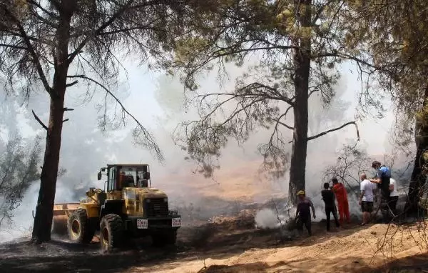 Manavgat'ta çıkan orman yangını havadan ve karadan müdahaleyle kontrol altına alındı