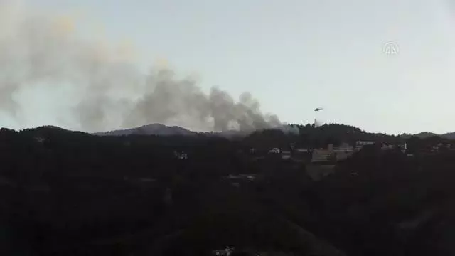 Orman yangını havadan ve karadan müdahaleyle kontrol altına alındı