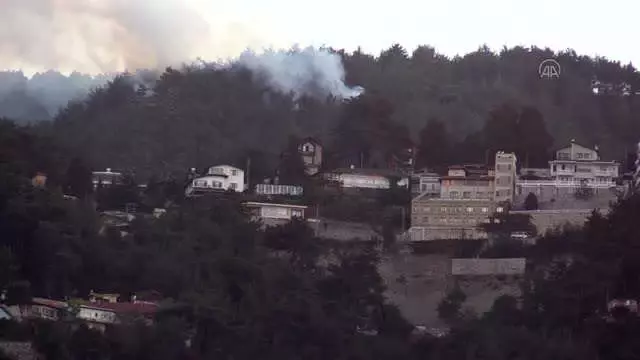 Orman yangını havadan ve karadan müdahaleyle kontrol altına alındı