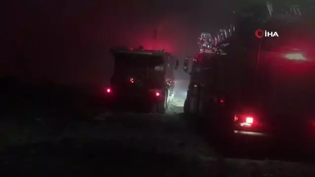 Osmaneli'nde çöplük alanda çıkan yangın kısa sürede söndürüldü