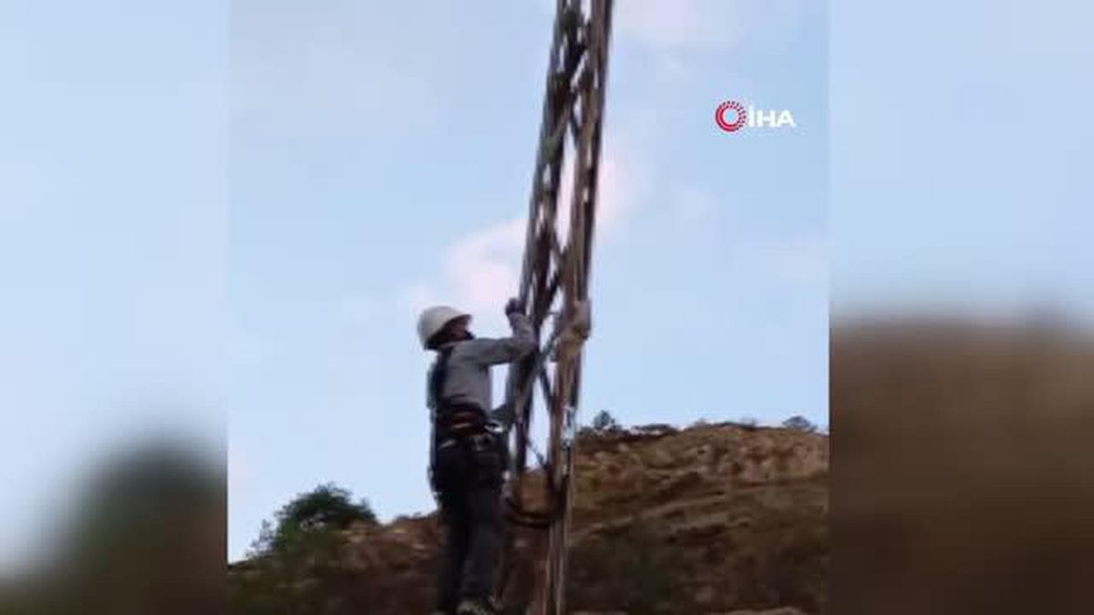 Peçeli baykuş elektrik direğine takıldı