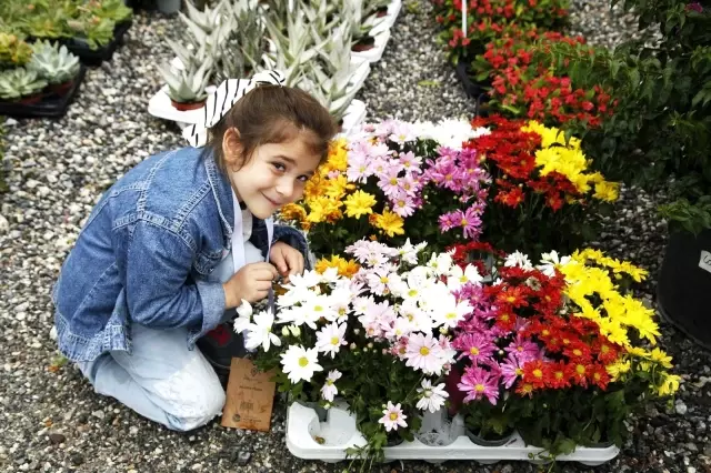 Peyzaj, Süs Bitkileri, Bahçe Sanatları ve Ekipmanları Fuarı'nı 30 bin kişi ziyaret etti