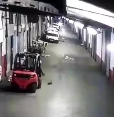 Yavru kediyi tekmeleyerek ezen cani adam, dakikalarca can vermesini izledi