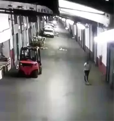 Yavru kediyi tekmeleyerek ezen cani adam, dakikalarca can vermesini izledi