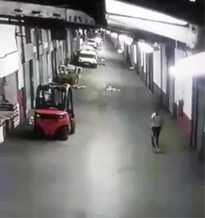 Yavru kediyi tekmeleyerek ezen cani adam, dakikalarca can vermesini izledi