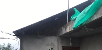 Son dakika haberleri... Trabzon'da fındık kurutmaya çalışırken evinin çatısından düşen kişi öldü