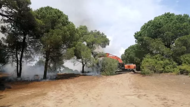 Manavgat'ta çıkan orman yangınında vatandaşlar seferber oldu