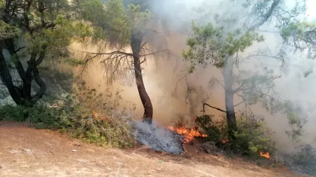 Manavgat'ta çıkan orman yangınında vatandaşlar seferber oldu