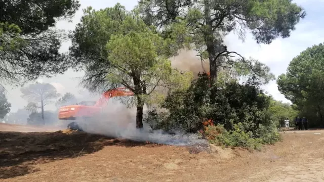 Manavgat'ta çıkan orman yangınında vatandaşlar seferber oldu