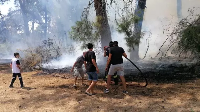 Manavgat'ta çıkan orman yangınında vatandaşlar seferber oldu