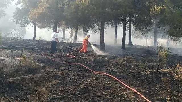 Son dakika haberi! Orman yangını kontrol altına alındı