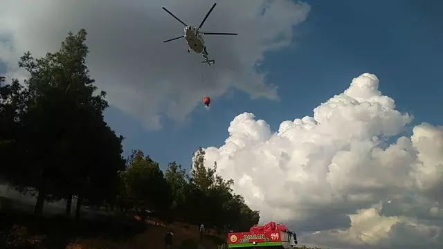 Son dakika haberi! Orman yangını kontrol altına alındı