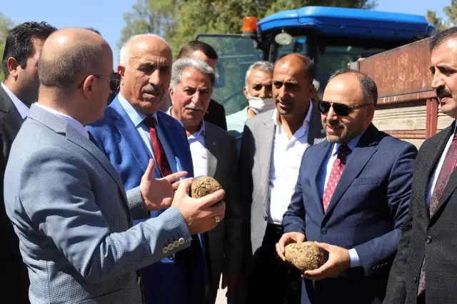 Ağrı Şeker Fabrikasının Pancar Alım Kampanyası Başladı