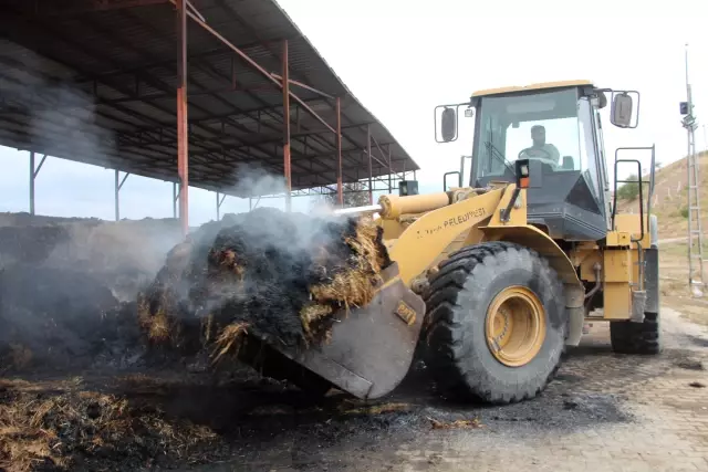 Besi çiftliğinde çıkan yangın kontrol altına alındı