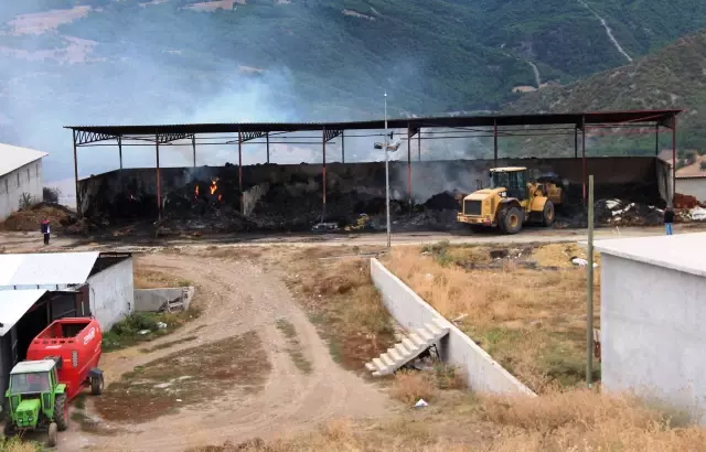 Besi çiftliğinde çıkan yangın kontrol altına alındı