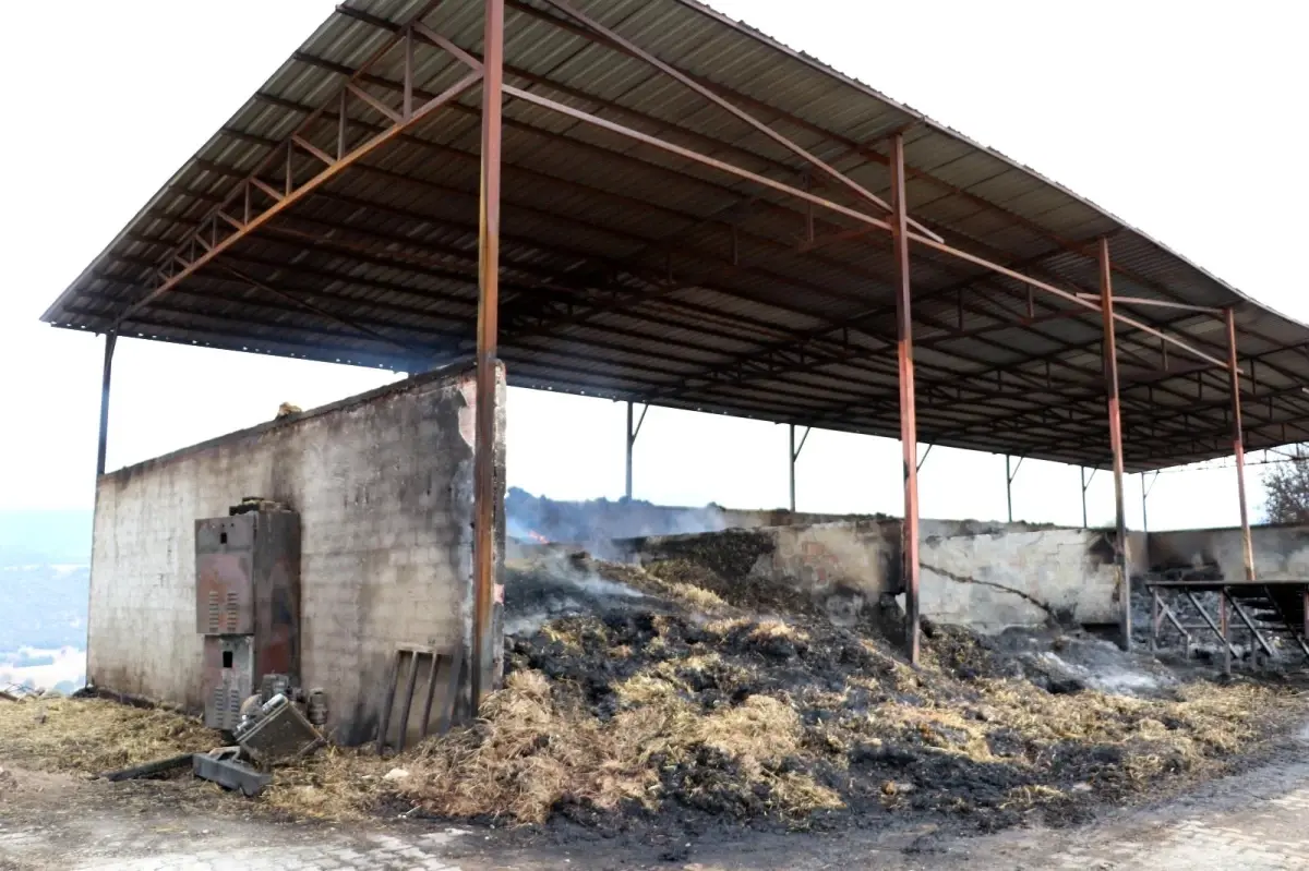 Son dakika: Amasya'da çıkan yangın hala devam ediyor