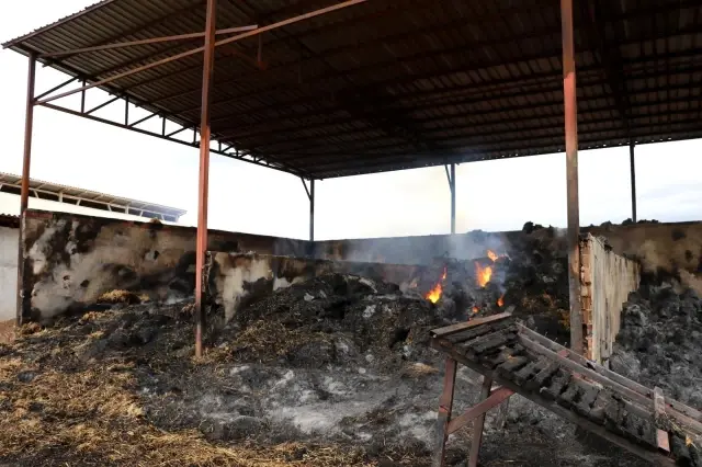 Son dakika: Amasya'da çıkan yangın hala devam ediyor