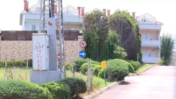 ARNAVUTKÖY'DE KEDİYİ HAVAYA FIRLATIP GÖRÜNTÜLERİ SOSYAL MEDYADA PAYLAŞTILAR