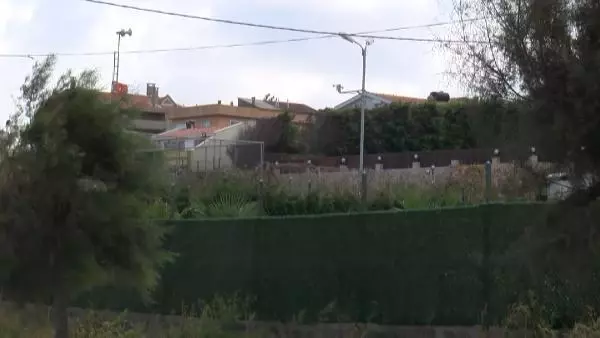 ARNAVUTKÖY'DE KEDİYİ HAVAYA FIRLATIP GÖRÜNTÜLERİ SOSYAL MEDYADA PAYLAŞTILAR