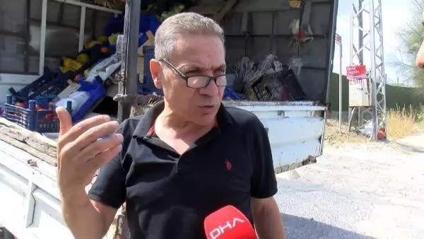 ARNAVUTKÖY'DE KEDİYİ HAVAYA FIRLATIP GÖRÜNTÜLERİ SOSYAL MEDYADA PAYLAŞTILAR