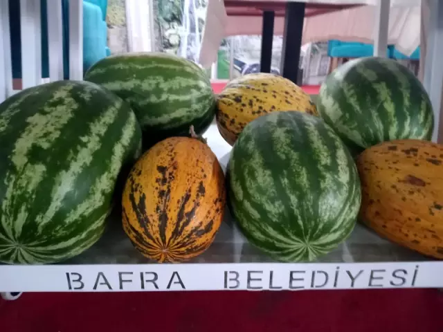 Bafra'nın ürünleri görücüye çıktı
