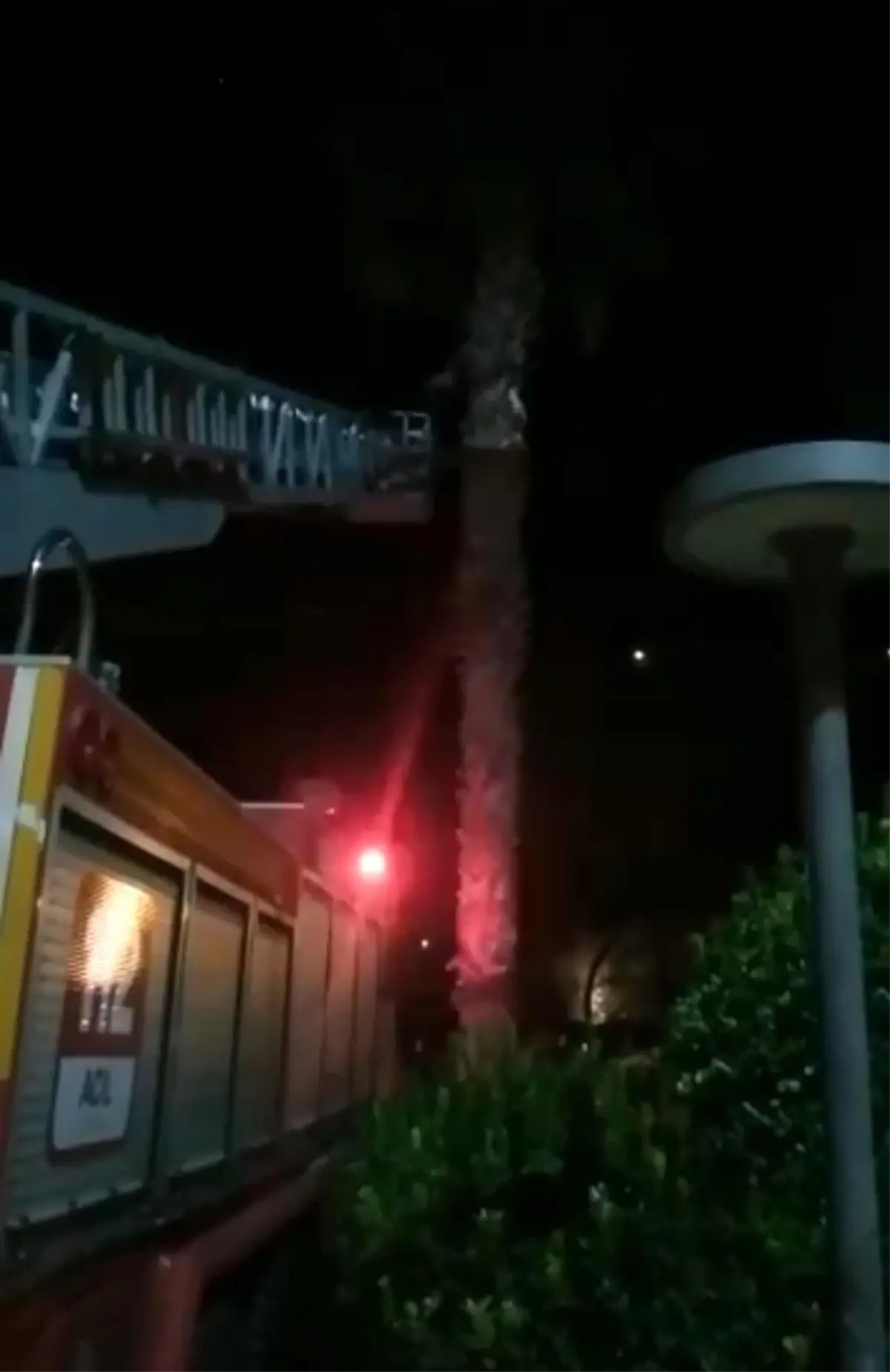 Balıklıgöl'de kedi kurtarma operasyonu