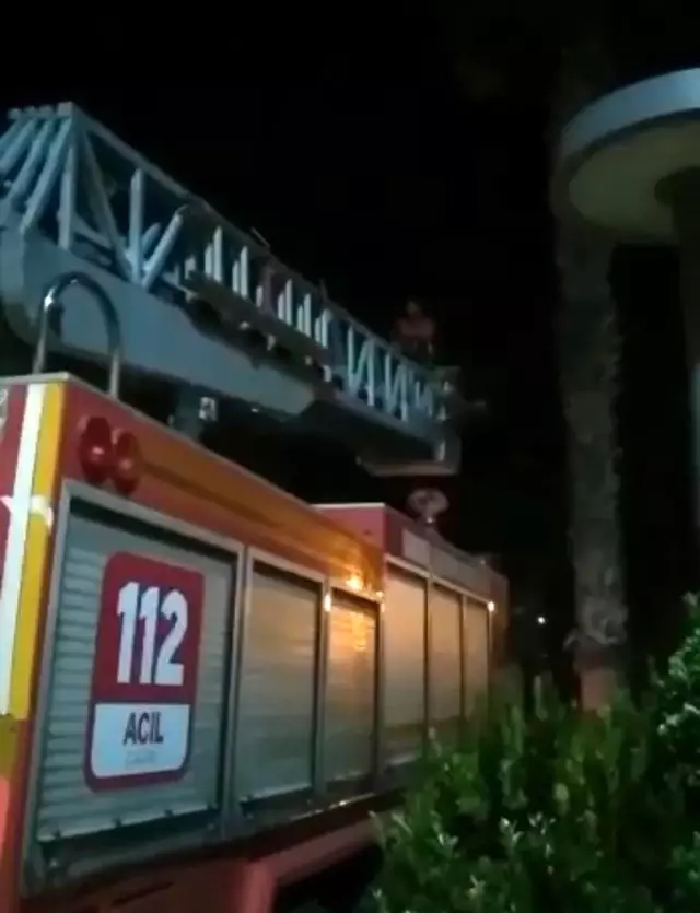Balıklıgöl'de kedi kurtarma operasyonu