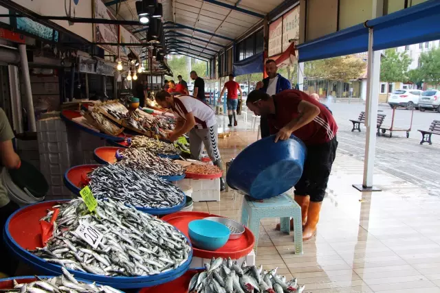 Bandırma Su Ürünleri Hali'nde balık bolluğu yaşanıyor