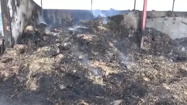 Besi çiftliğinde çıkan yangın kontrol altına alındı