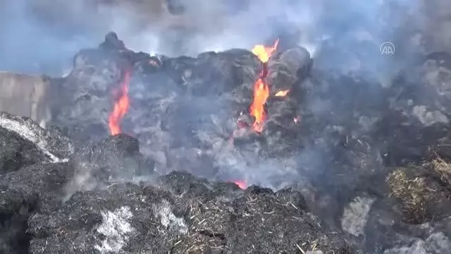 Besi çiftliğinde çıkan yangın kontrol altına alındı