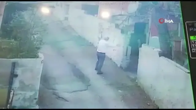 Beykoz'da köpek besleme tartışması