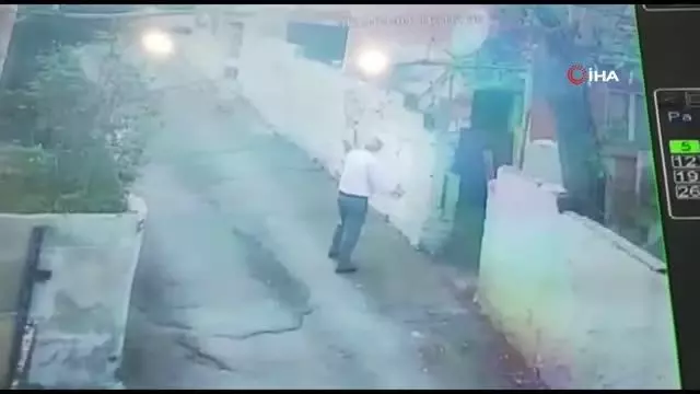 Beykoz'da köpek besleme tartışması