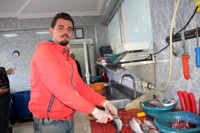 Bu yıl palamut yok denilecek kadar az