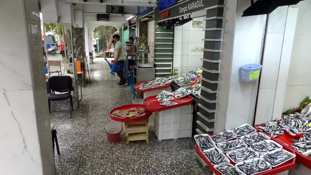 Çanakkale'de sardalyanın fiyatı 30 liraya düştü