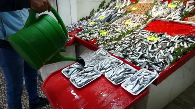 Çanakkale'de sardalyanın fiyatı 30 liraya düştü