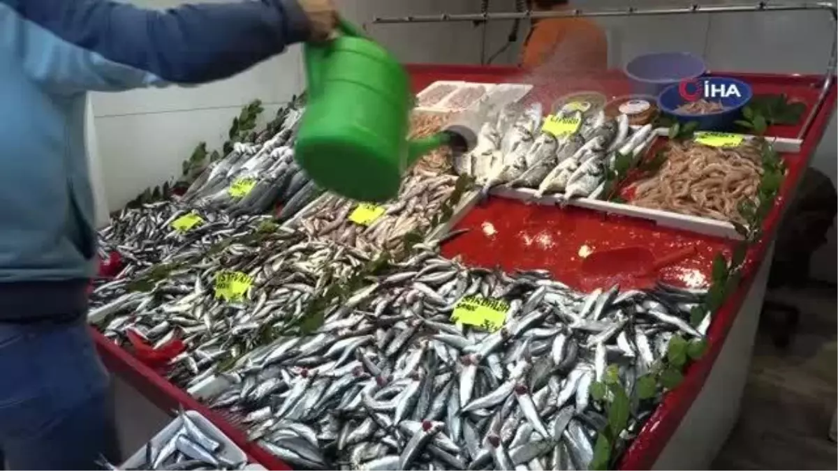 Çanakkale'de sardalyanın fiyatı 30 liraya düştü