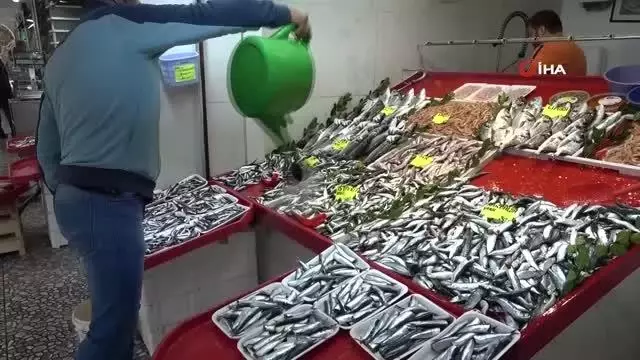 Çanakkale'de sardalyanın fiyatı 30 liraya düştü