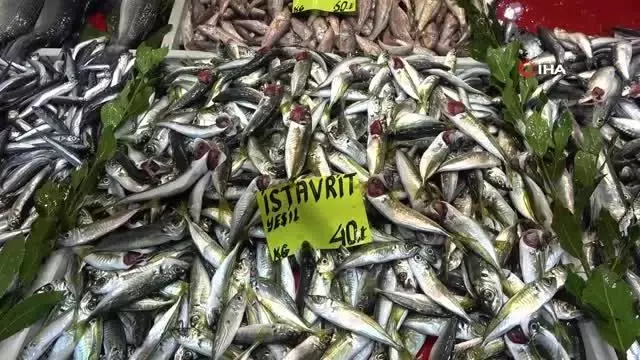 Çanakkale'de sardalyanın fiyatı 30 liraya düştü