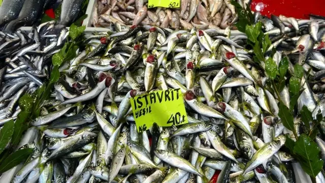 Çanakkale'de sardalyanın fiyatı 30 liraya düştü