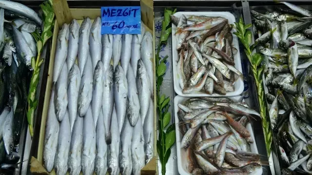 Çanakkale'de sardalyanın fiyatı 30 liraya düştü