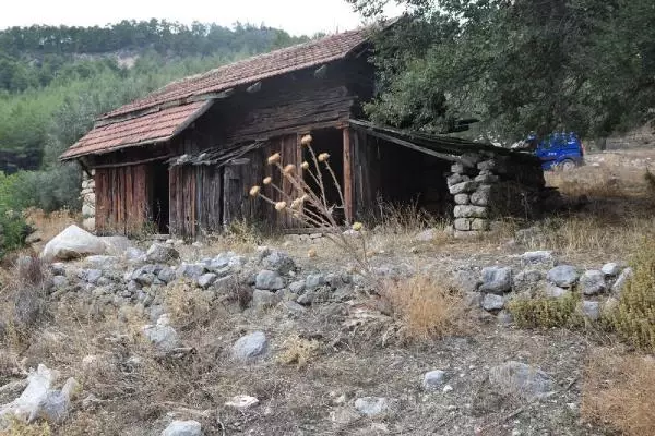 Cinayet şüphelisi, saklandığı barakada tüfekle yakalandı