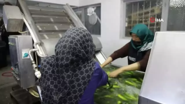 Çubuklu turşu üreticileri AYBÜ Rektörü Aydınlı'ya sahip çıktı