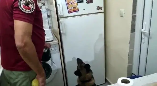 Davlumbaza ve derin dondurucuya saklanan uyuşturucu narkotik köpeğinden kaçamadı