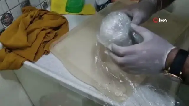 Davlumbaza ve derin dondurucuya saklanan uyuşturucu narkotik köpeğinden kaçamadı
