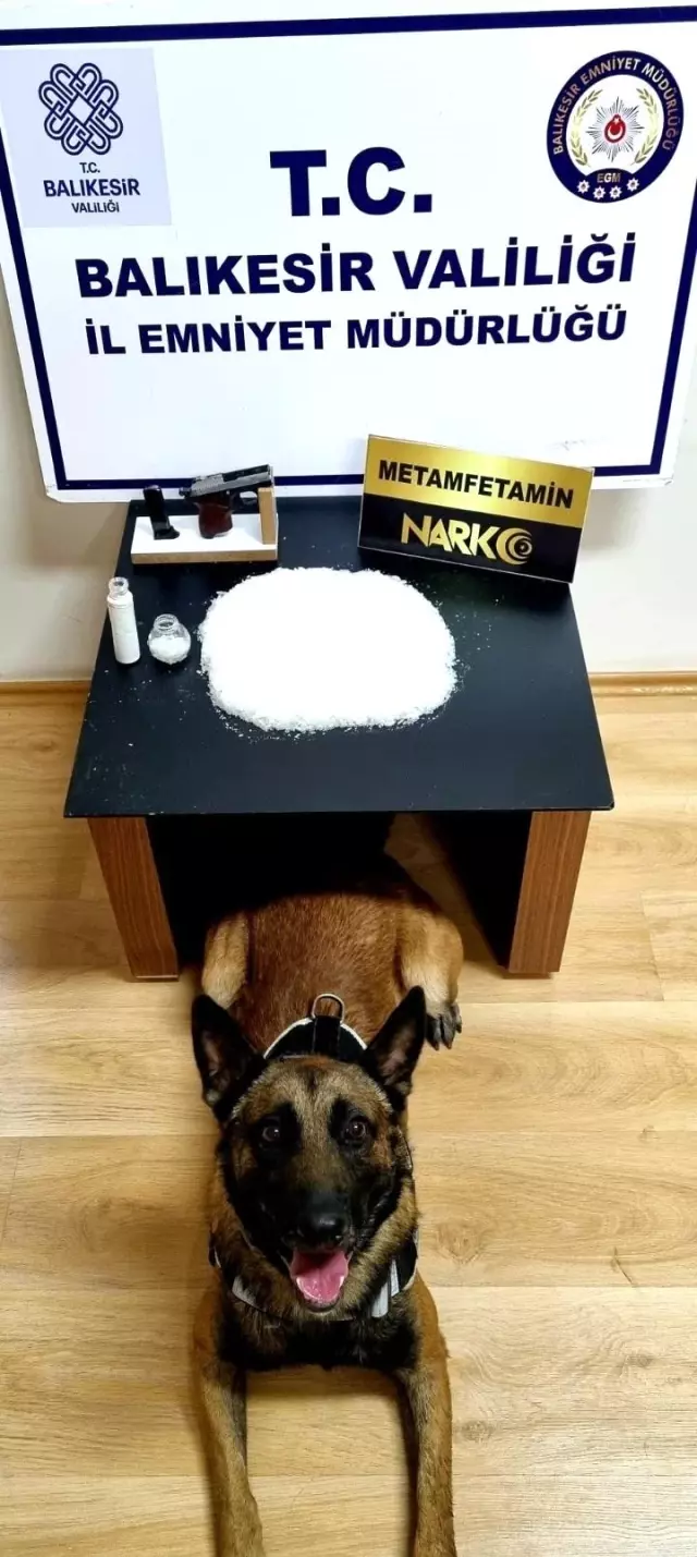Davlumbaza ve derin dondurucuya saklanan uyuşturucu narkotik köpeğinden kaçamadı